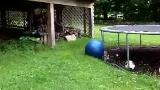 Real life minecraft (Sundayman and Prancing Bandit) Real life texture pack