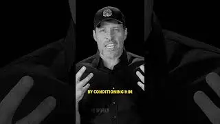 Tony Robbins: Mastering Self-Discipline #Shorts #Motivation