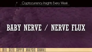 Baby Nerve Flux Real Estate Crypto Token Review  - Presale