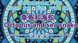 Octopus and sea snakeDecompression magic zentangle Mind SPA kaleidoscopeVideo治愈系魔法禅绕心灵SPA万花筒视频：章鱼和海蛇