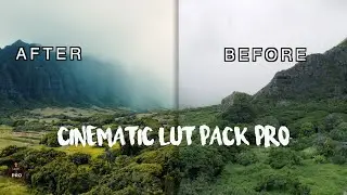 Cinematic Lut Pack Pro | Fcpx | Premiere Pro | Download Now | Learn 2 Pro