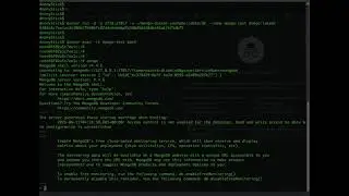Install mongodb docker WITH 5 mins