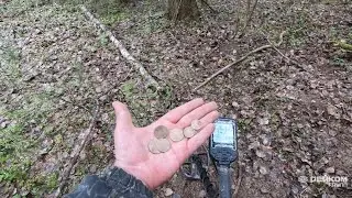 Нашёл кошель советов с Nokta Legend