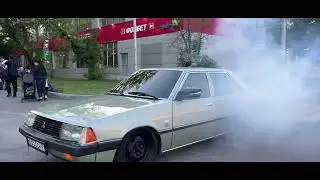 Ласковый зверь..