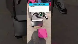Гусь свинье — не товарищ 