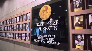 The NIH Campus
