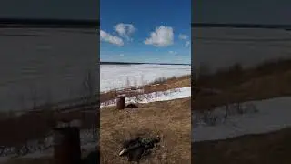 ПОДВИЖКА НА РЕКЕ ПЕЧОРА! С ДНЕМ ПОБЕДЫ! ПРИРОДА СДЕЛАЛА ПОДАРОК!