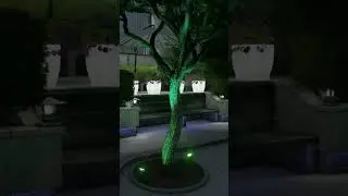 Ландшафтный дизайн. #gardendesign #landscapingdesign #garden #landscapingdesign