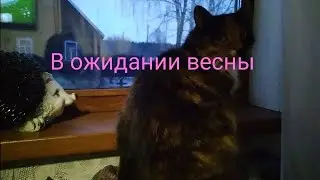 Когда же придёт весна???? 😔