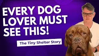 The Tiny Shelter – Inside Portugal’s Most Inspiring Dog Shelter