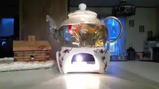 TeaBloom