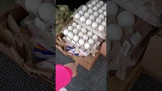 Купили еду для животных из зоопарка ❤️#помощьживотным