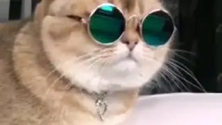 Х