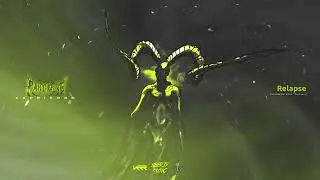 PANTHER VG - RELAPSE (Visual) KAPRICORN