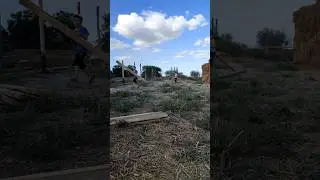 Моя рабочая сила 💪
