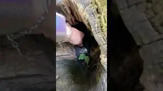 Frame in hollow