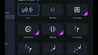 How to Add Echo Effect to Your Video Using Movavi Video Editor Plus (2022)