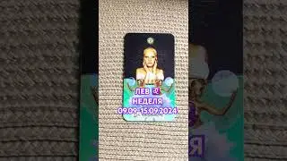 🌺ЛЕВ ♌️НЕДЕЛЯ 09.09-15.09.2024🌺