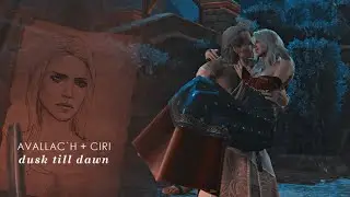 【the witcher 3】 avallac`h х ciri || аваллак'х и цири - dusk till dawn.