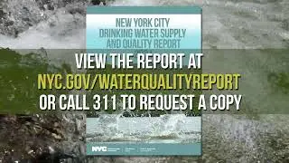 New York City Drinking Water Supply and Quality Report 2021