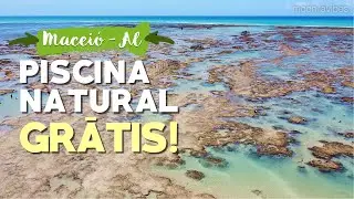 MACEIÓ: PISCINA NATURAL GRÁTIS!