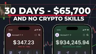 I Created  Meme Coins and Made $65000 in month