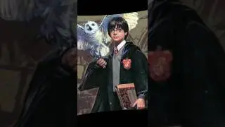 harry potter tribute