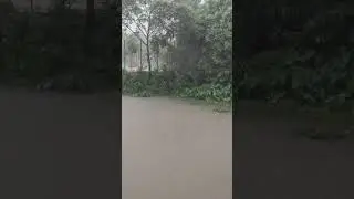 লাইভ রেকর্ড করা বজরুপত | Live records Thundering