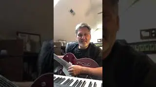 Pallini clip
