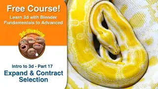 17 Expand And Contract Selection