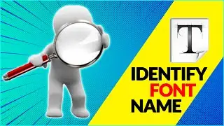 How to Identify Font Name - Font Finder