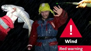 Fishing At Night In A STORM! - Arbroath Cod Fishing