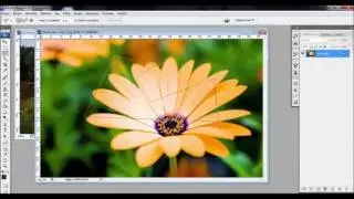Photoshop  seçim araçları