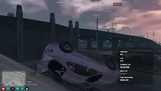 Calico's can fly