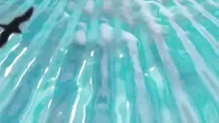 Animación con Cinema 4D de olas del mar con Logo