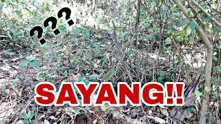 SAYANG, BABALIKAN KITA BUKAS.