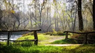 Big River - Johnny Cash | Extended 1 Hour