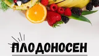 Денис Димитров - Плодоносен
