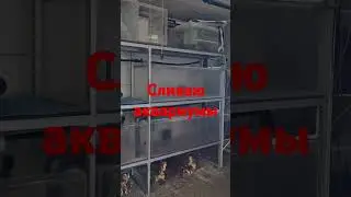 ФИНИШЬ ВСЕМУ!