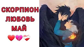 ♏️СКОРПИОН| ОТНОШЕНИЯ | СВОБОДНЫЕ | РАССТАЛИСЬ | МАЙ🪴 | 2024
