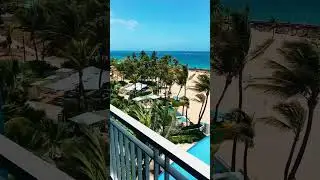 Paradise 