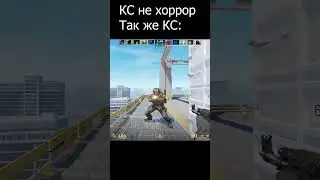 Страшно вырубай  #cs2  #кс2  #кс  #csgo