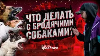 ЧТО ДЕЛАТЬ С БРОДЯЧИМИ СОБАКАМИ? / Собаки нападают на людей на Сахалине