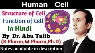Human Cell Anatomy and Physiology In Hindi | Structure of Cell | Function of Cell