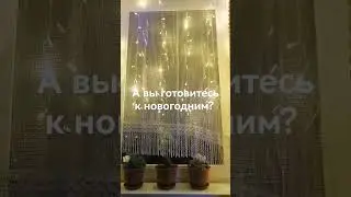 14 ноября 2023 г.