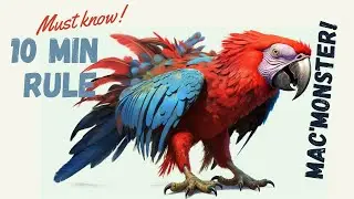 Improve Your Understanding of Your Parrot: Learn the 10 MIN Rule | #parrot_bliss #bird #parrot
