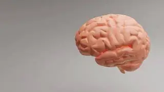 Mastering Deep Learning: Unlock the Power of Artificial Intelligence