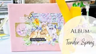 Presentation d'album Tender Spring