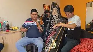 JARANA BAILABLE ARPA Y VIOLÍN / Quinto Chico y Yeferson Castro