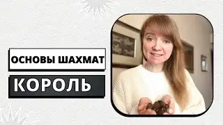 Основы шахмат | Ход короля